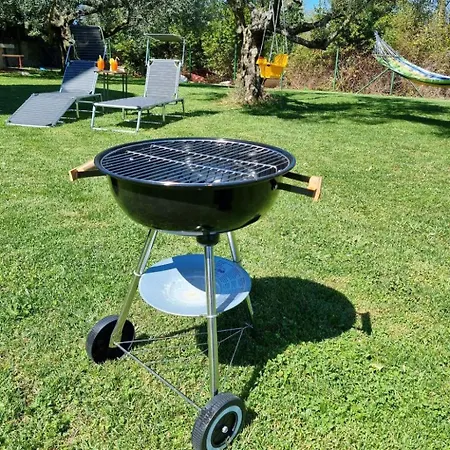 아파트 Renovierte In Zambratija Mit Grossem Garten By Interhome *