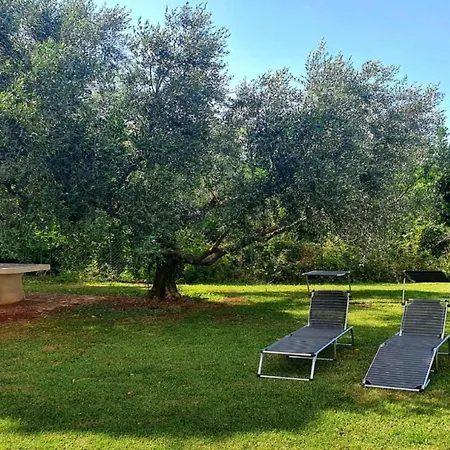 Apartament Renovierte In Zambratija Mit Grossem Garten By Interhome Umag